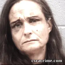 Misty Mcwee booking photo