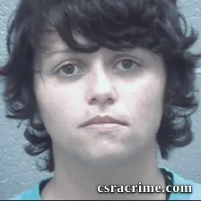 Misty Palmer booking photo