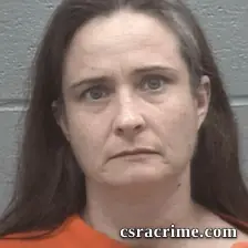 Misty Renee Mcwee booking photo