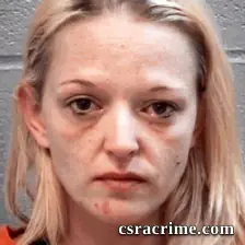 Misty Vincent booking photo