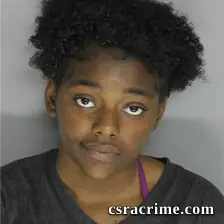 Modesty Lowry booking photo