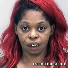 Monica Price booking photo