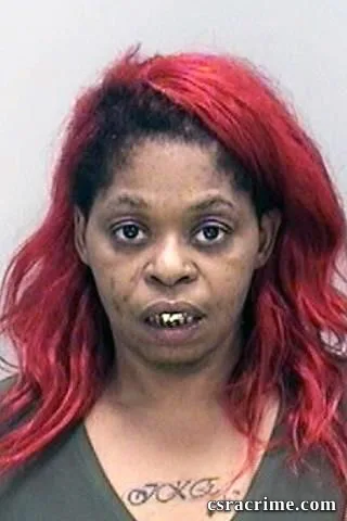 Monica Price booking photo