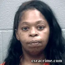 Monica Price booking photo