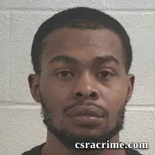 Montavious Demarkis Williams booking photo