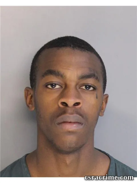 Montell Harling booking photo