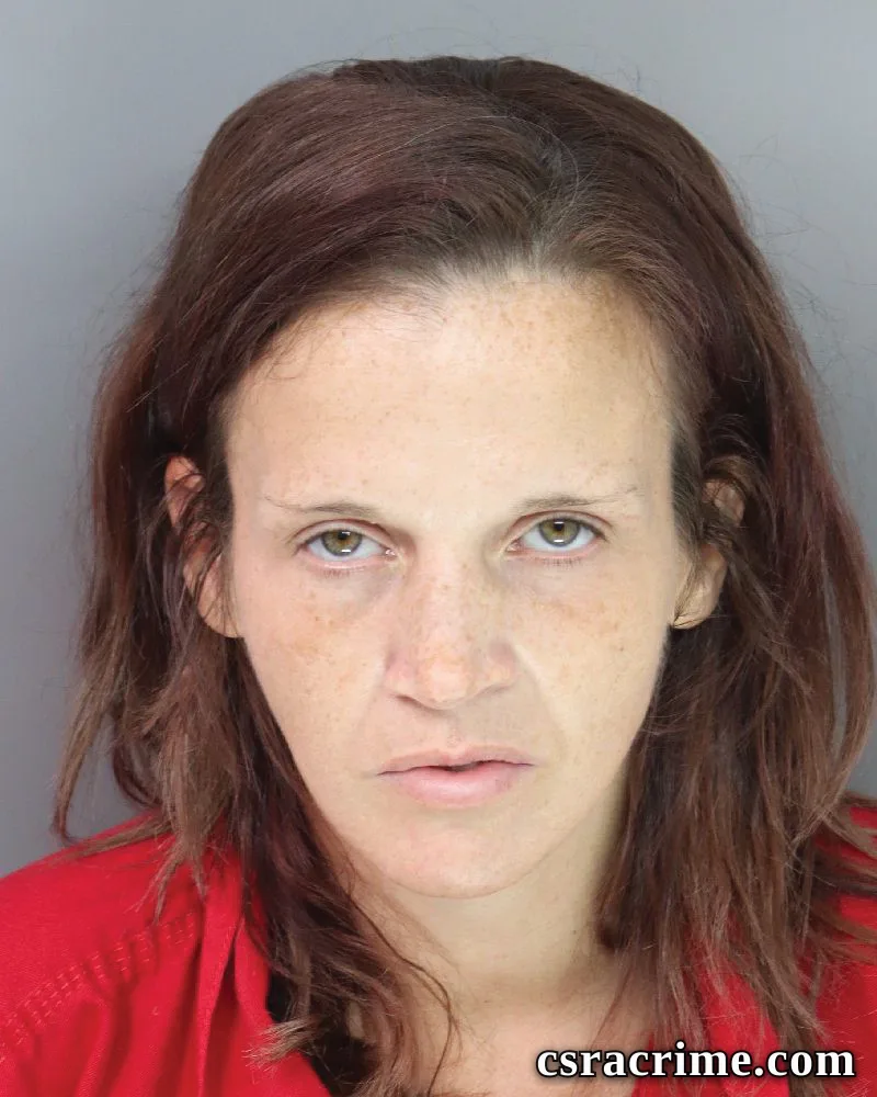 Morgan Lewis booking photo