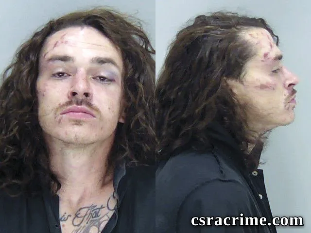 Morgan Niederhofer booking photo