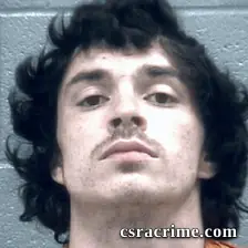 Morgan Niederhofer booking photo