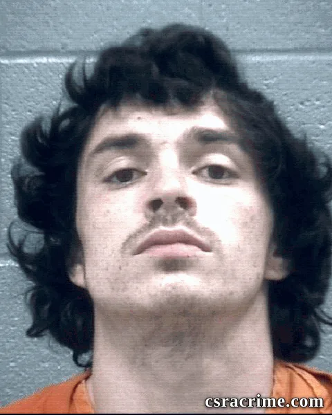 Morgan Niederhofer booking photo