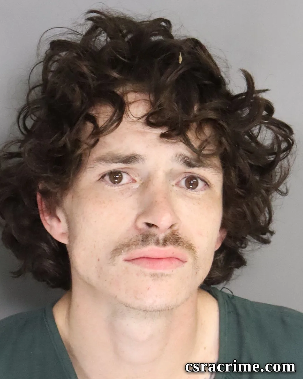 Morgan Niederhofer booking photo