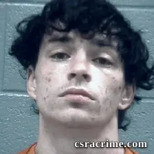 Morgan Niederhofer booking photo