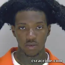Moses Gibbons JR booking photo