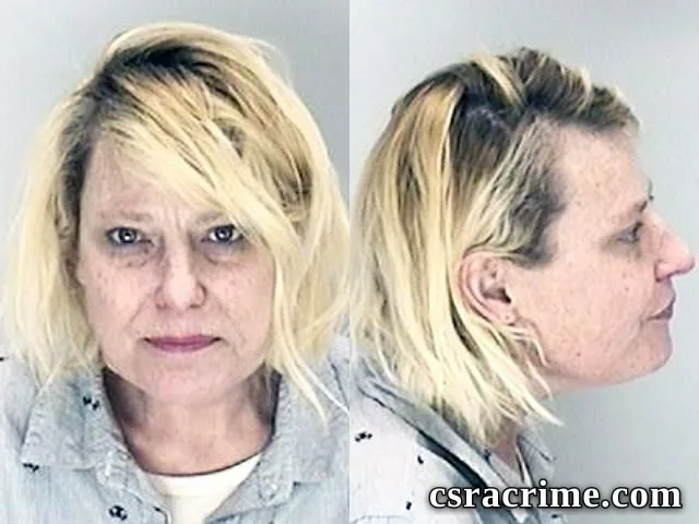Nancy Phillips booking photo