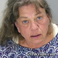 Natalie Young booking photo