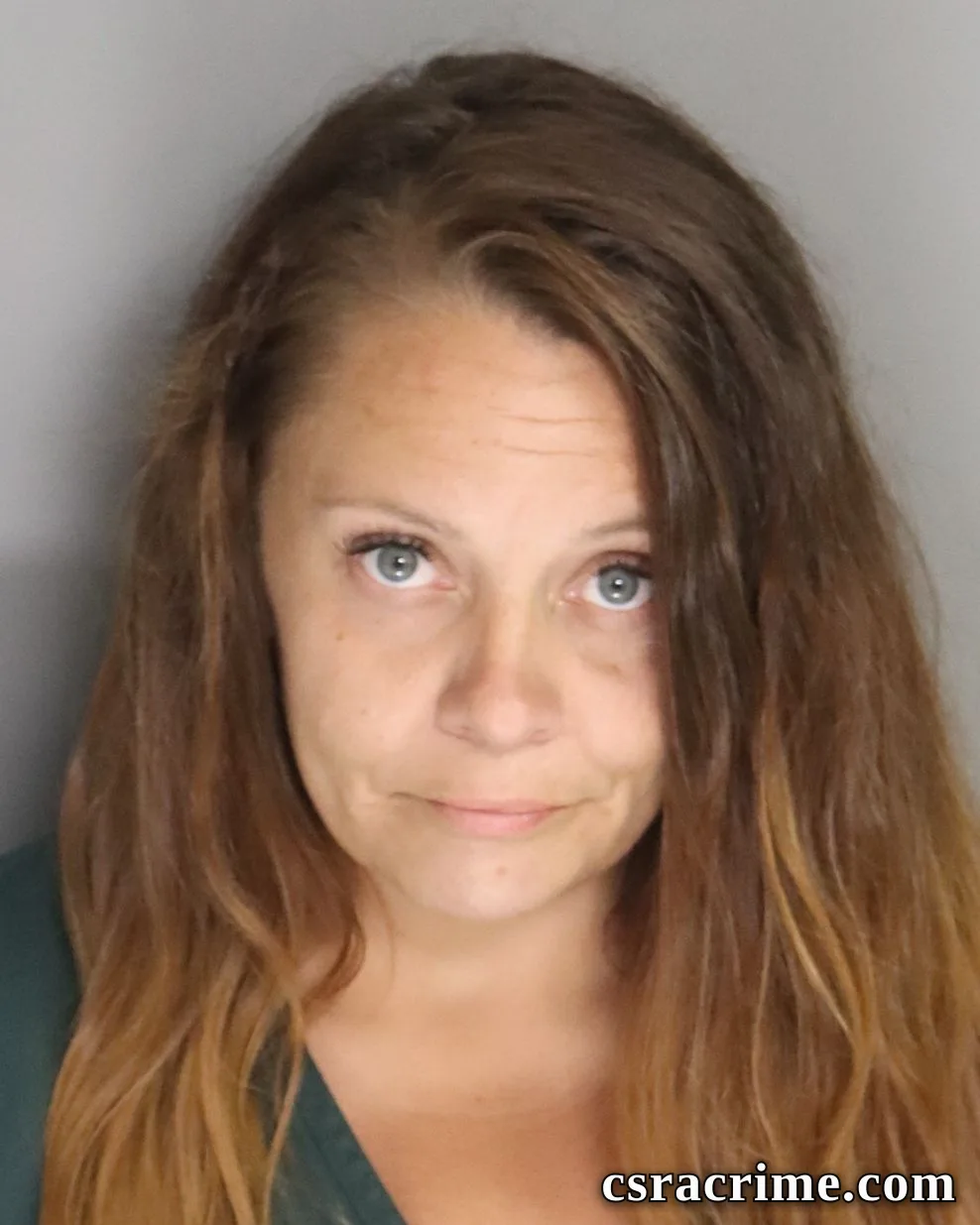 Natasha Lee booking photo