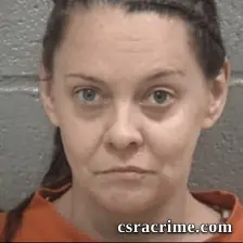 Natasha Michelle Lee booking photo