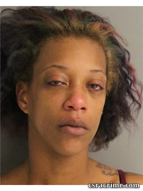 Natasha Turner booking photo