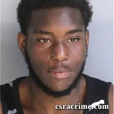 Nathan Council booking photo