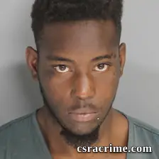Nathan Council booking photo