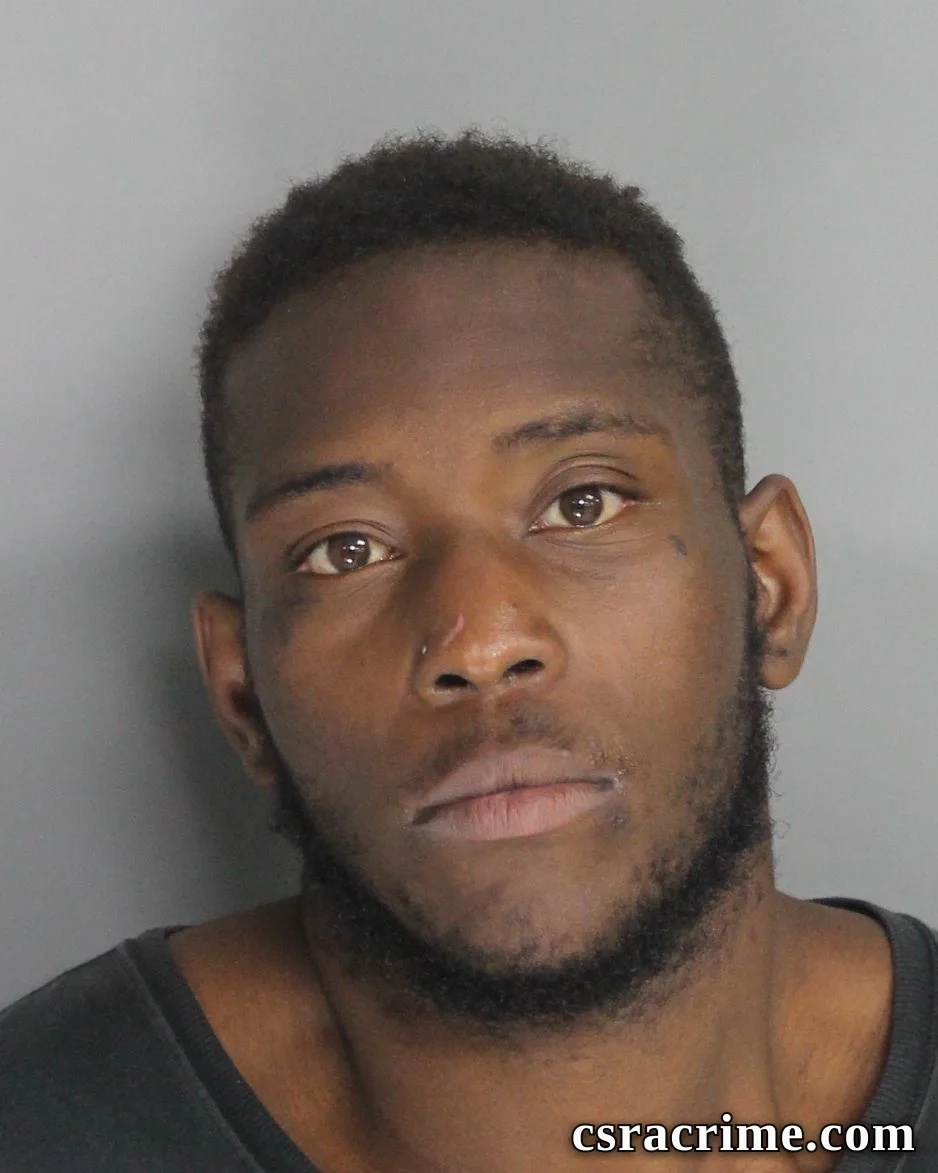 Nathan Council booking photo