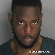 Nathan Council booking photo
