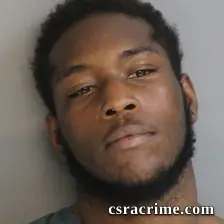 Nathan Council booking photo