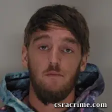 Nathan Lee, Widener JR booking photo