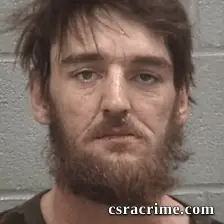 Nathan Lee Widener JR booking photo
