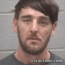 Nathan Lee Widener JR booking photo