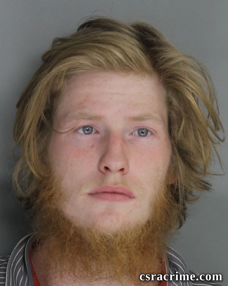 Nathan Newell JR booking photo