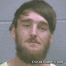 Nathan Widener JR booking photo