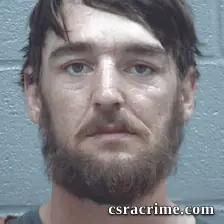 Nathan Widener JR booking photo