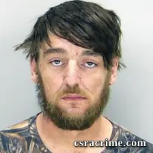Nathan Widener JR booking photo