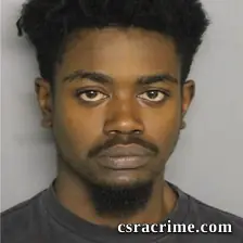 Neko Johnson booking photo
