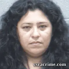 Nelda Sorto-Hernandez booking photo