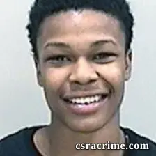 Nicholas Johnson booking photo