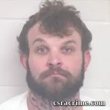 Nicholas Ryan Wolaver booking photo