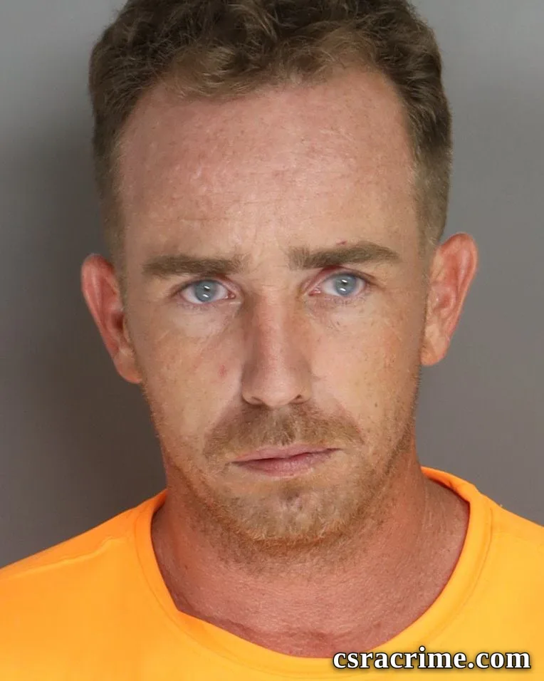 Nicholas Wells booking photo