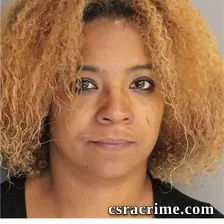 Nichole Johnson booking photo