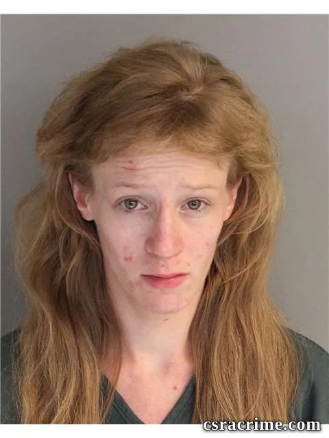 Nichole Woodward booking photo