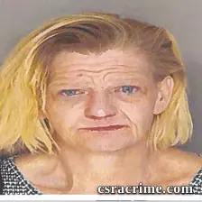 Nicole Finley booking photo