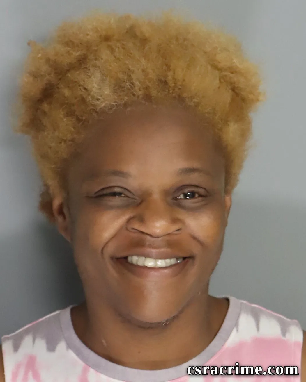 Nicole Harrison booking photo