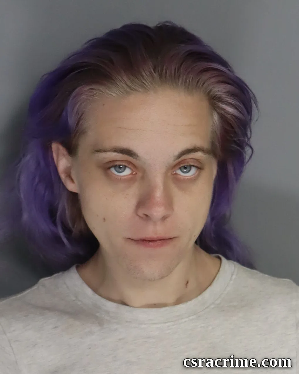 Nicole Hopkins booking photo