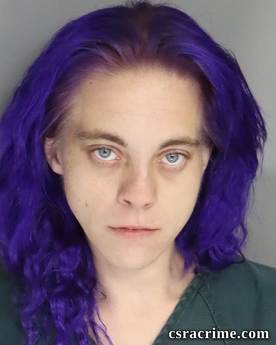 Nicole Hopkins booking photo