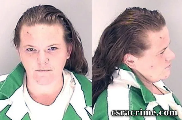 Nicole Hucks booking photo