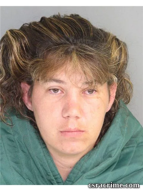Nicole Wicker booking photo