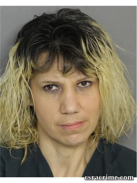 Nicole Wicker booking photo