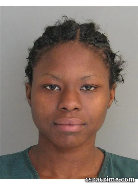 Niecey Langston booking photo
