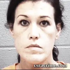 Nikki Menning booking photo